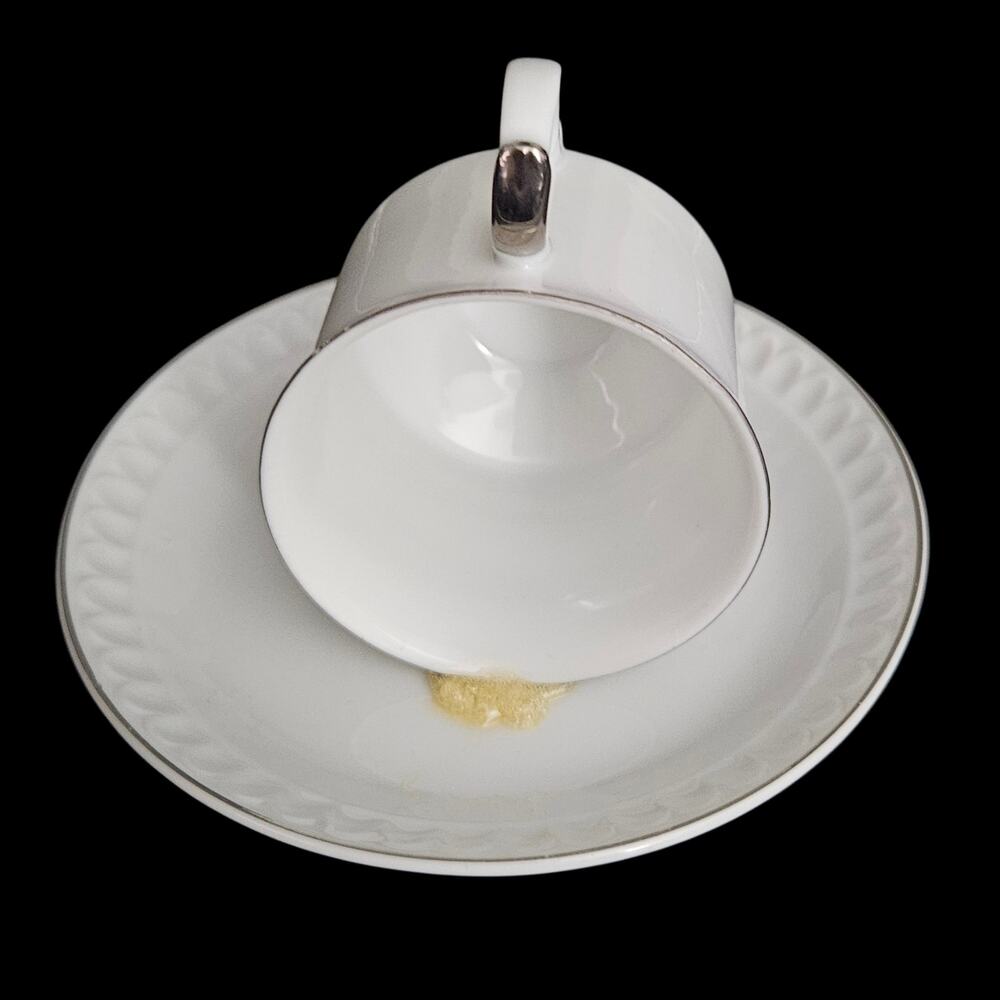Repurposed Teacup Bird Feeder White Porcelain Silver Trim Decor